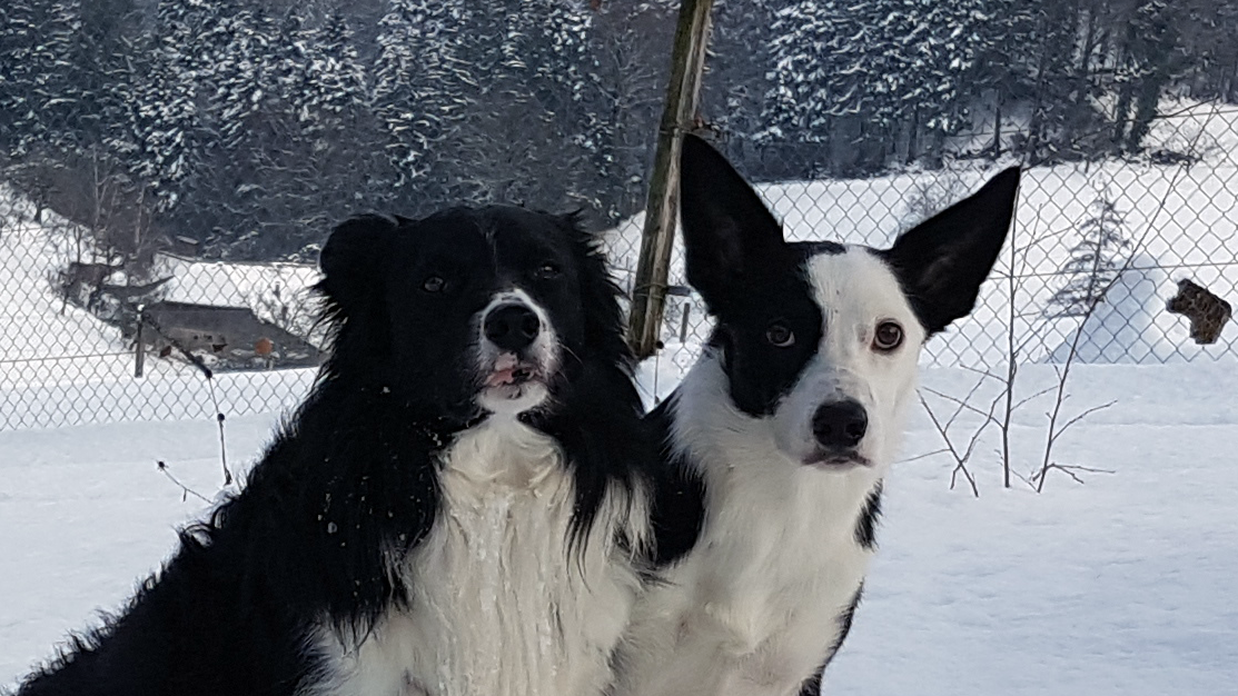 Jeano und lu Dez24 2